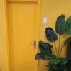 Cửa gỗ công nghiệp màu vàng