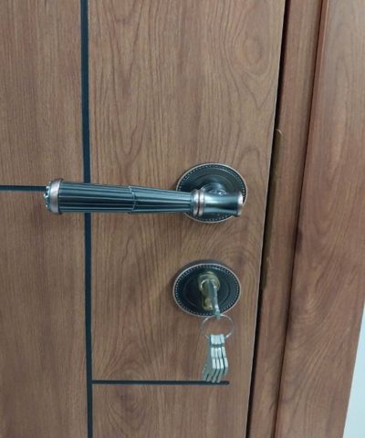 Khóa Gạt Phân Thể Màu Nâu