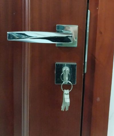 Ổ Khóa Gạt Phân Thể Màu Inox